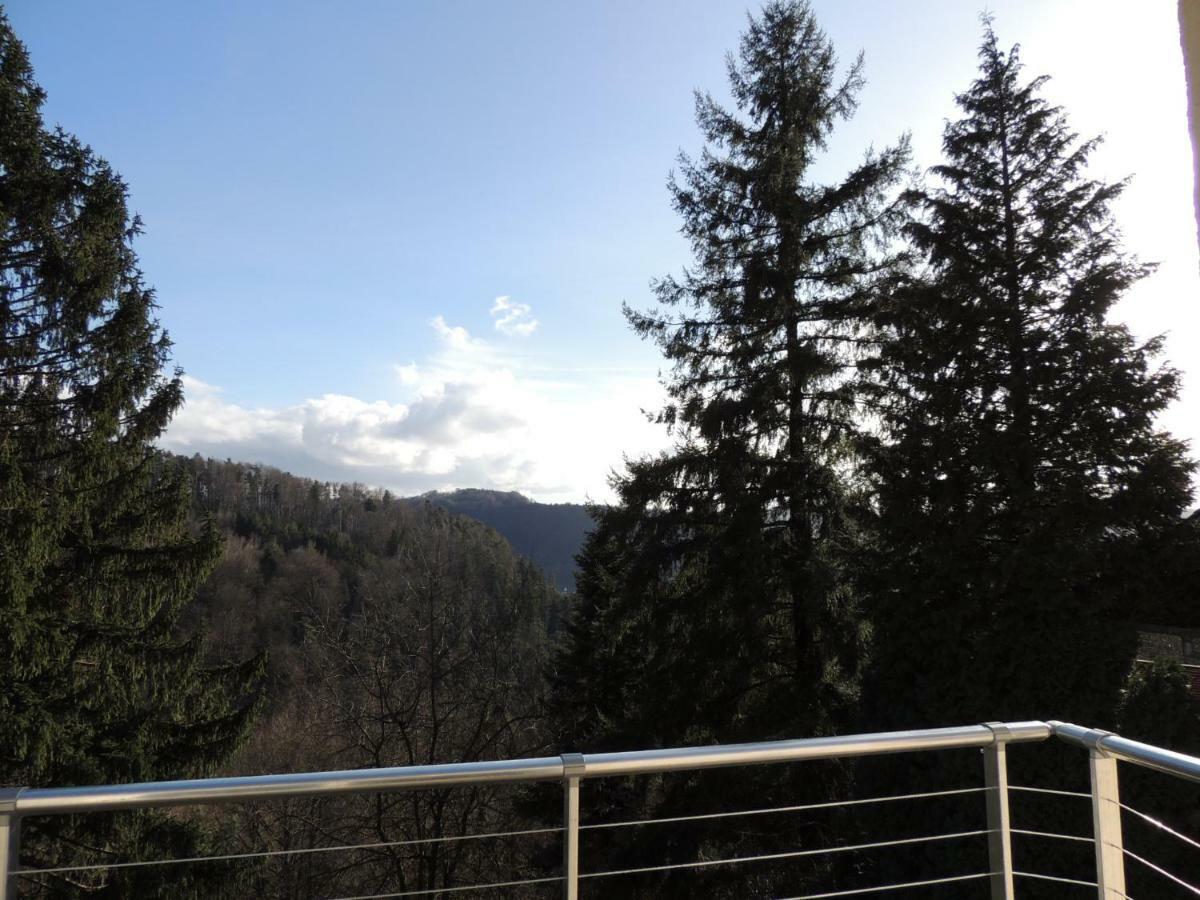 Gite Esperanza Spa Et Sauna Haselbourg 외부 사진